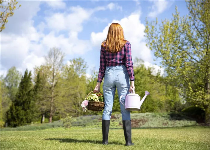 Alles auf Anfang – ein Blumenbeet anlegen