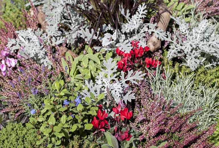 Grabbepflanzung Grabbepflanzung