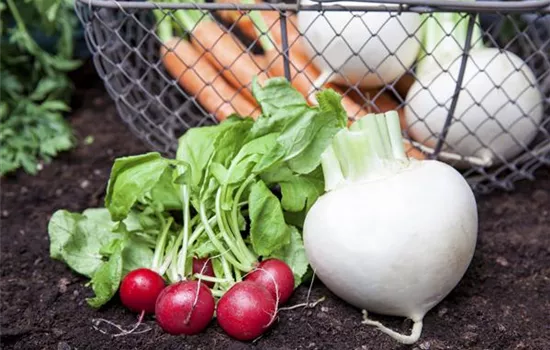 Erntegut haltbar machen Erntegut haltbar machen