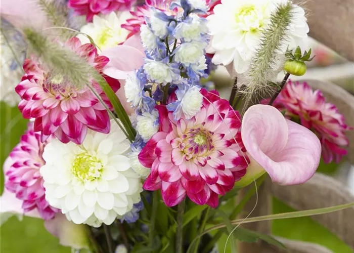 Beauty-Kur für den Blumenstrauß: Pülverchen und Hausmittel Beauty-Kur für den Blumenstrauß: Pülverchen und Hausmittel