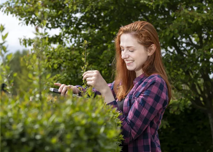 Diese Arbeiten sind jetzt im Garten noch nötig Diese Arbeiten sind jetzt im Garten noch nötig