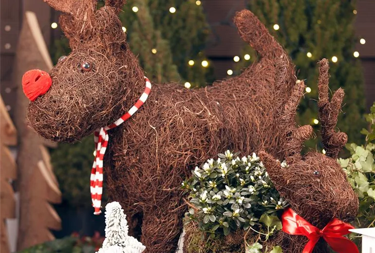 Rentier Deko  Rentier Deko