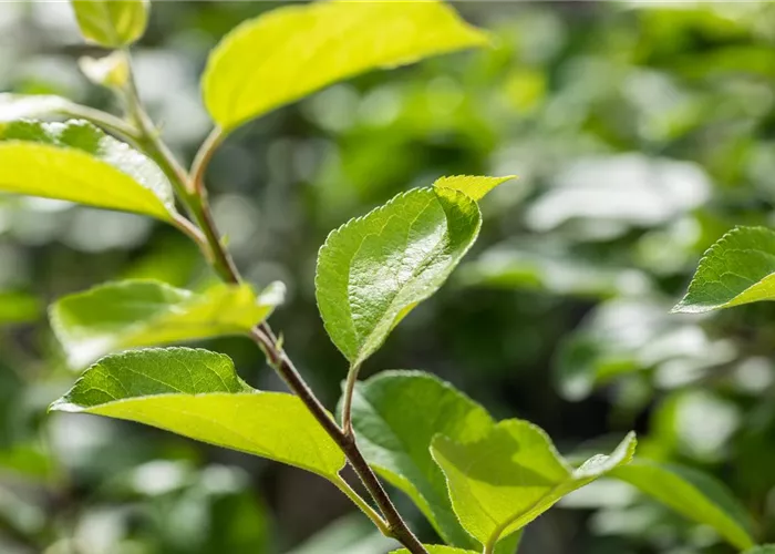 Nachhaltigkeit  Nachhaltigkeit