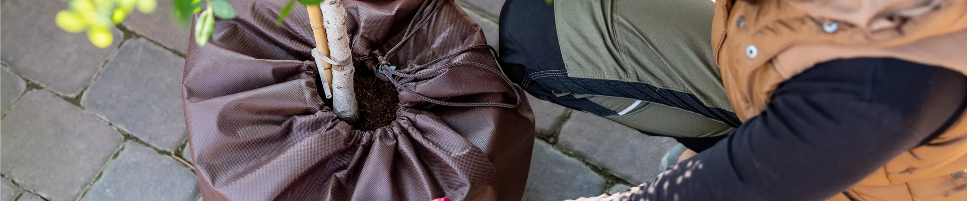 Überwinterung - Thermo Topfschutz