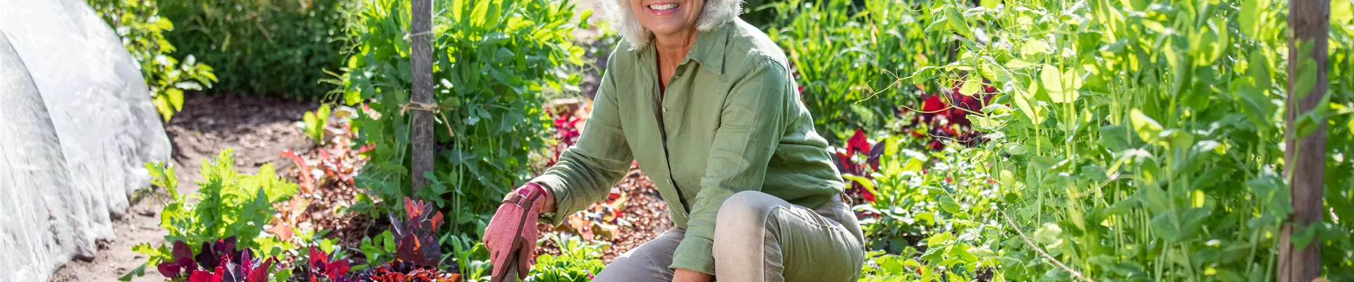 Gartenarbeit - Frau mit Salat und Gartenschaufel 