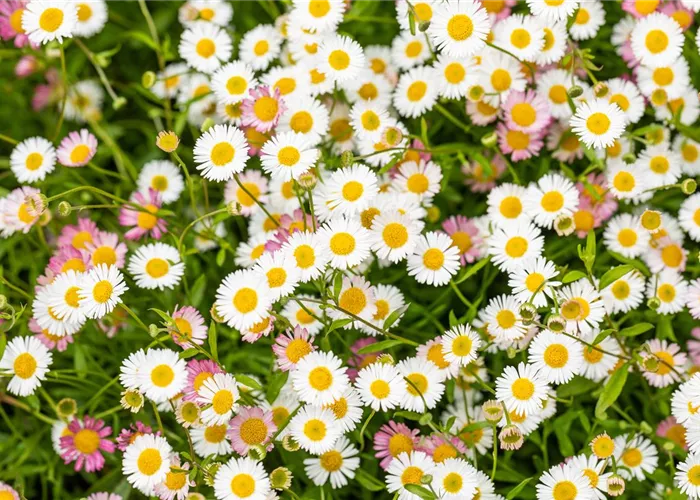 Neuigkeiten Neuigkeiten