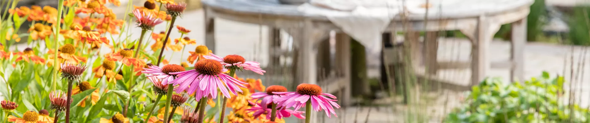 Sommergarten Sommergarten