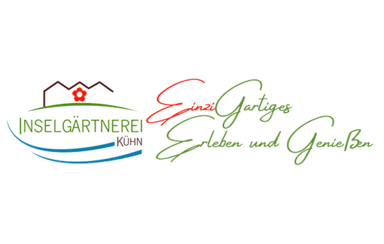 Acorus gramineus Argenteostriatus Acorus gramineus Argenteostriatus