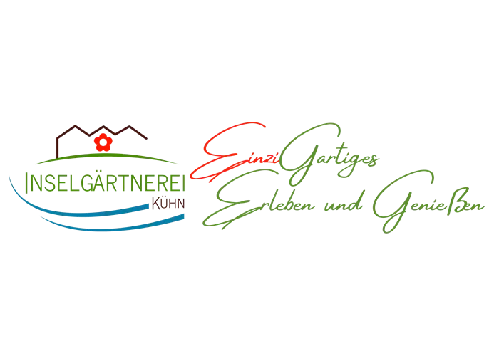 Fragaria ananassa Brunos Traum Fragaria ananassa Brunos Traum