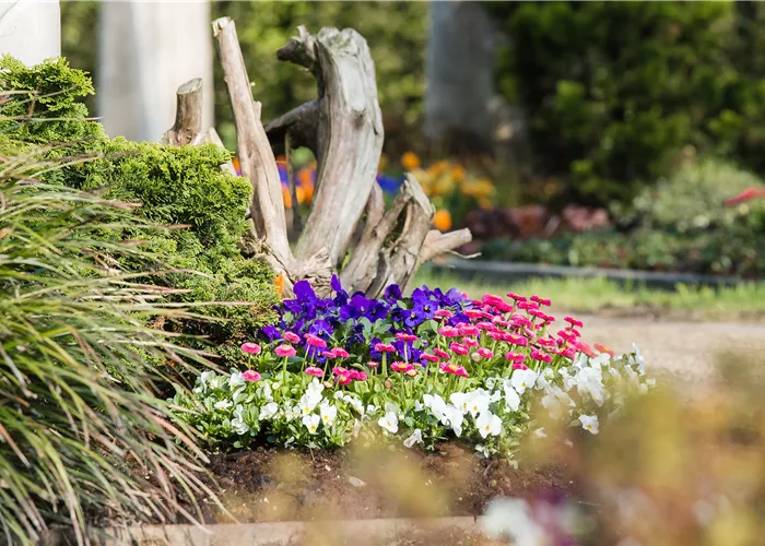 Friedhofsgärtnerei  Friedhofsgärtnerei