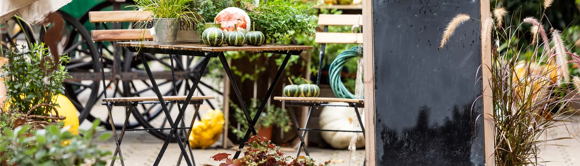 Herbst - Kürbishof Herbst - Kürbishof