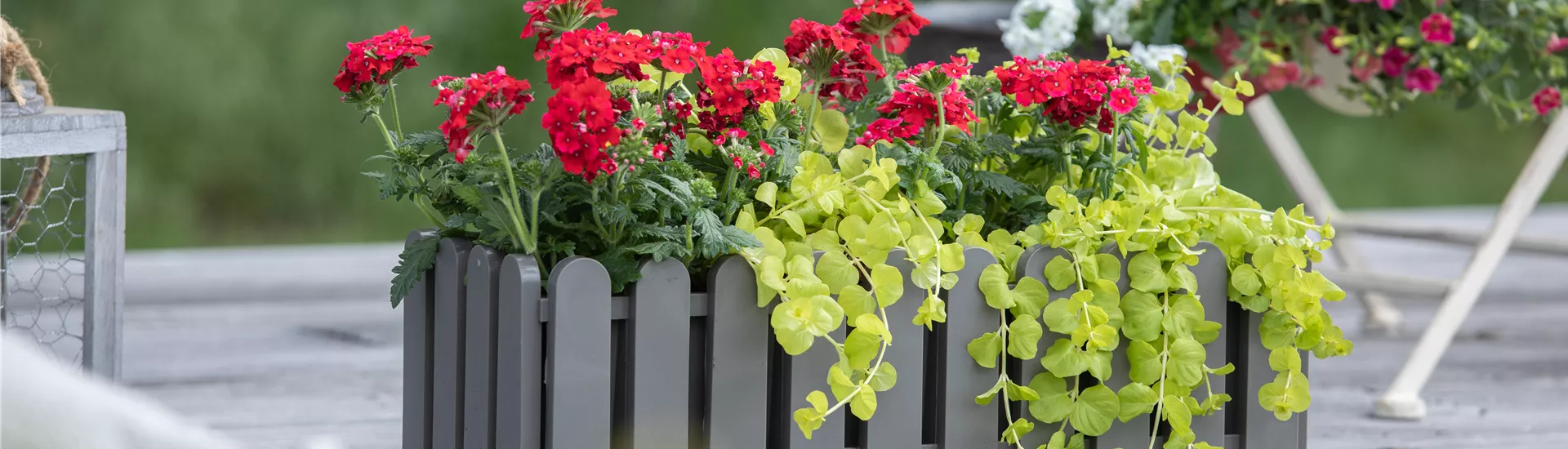 Balkonkasten Balkonkasten