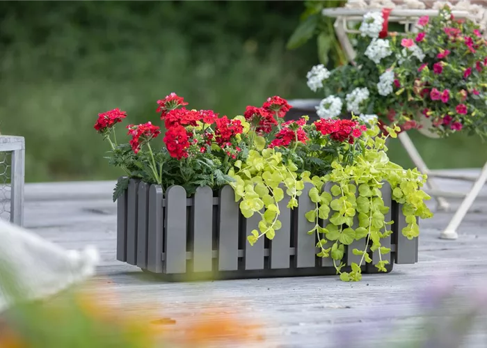 Bestellservice  Bestellservice