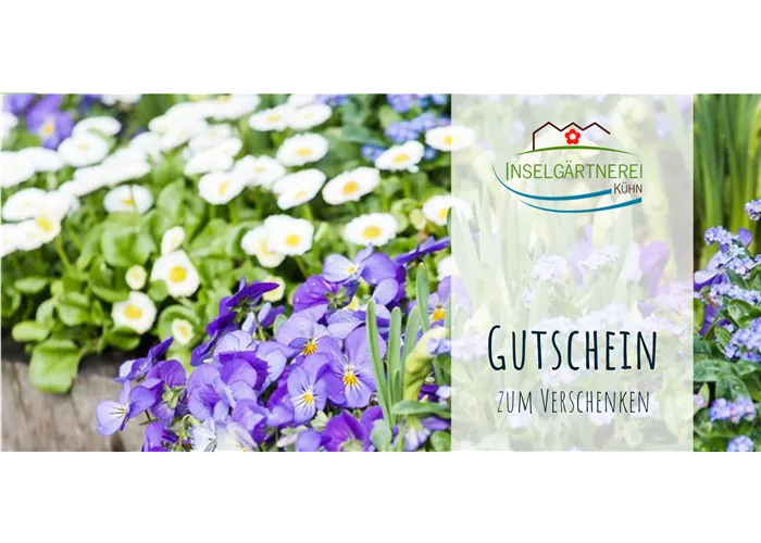 Individueller Gutschein Individueller Gutschein