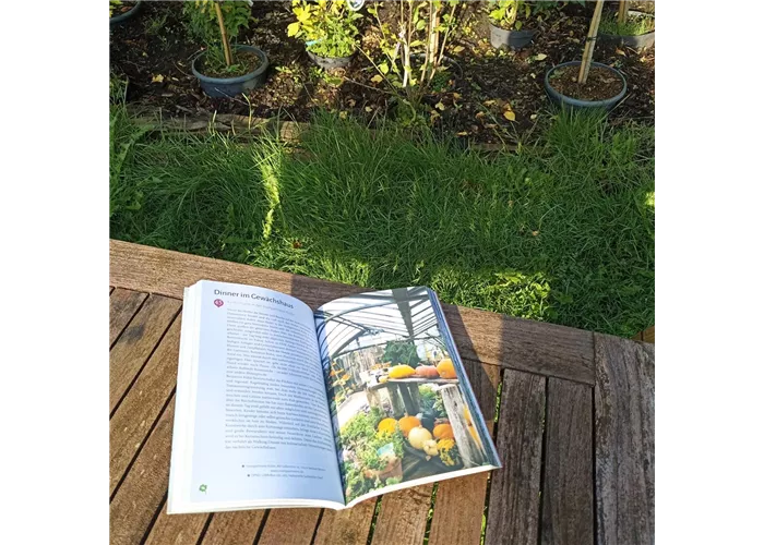Buch Glücksorte auf Usedom Buch Glücksorte auf Usedom