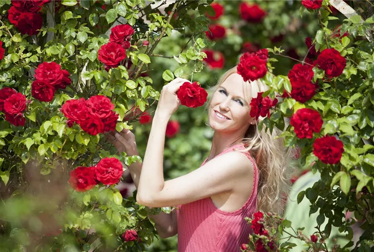 Frau mit Rosen Frau mit Rosen