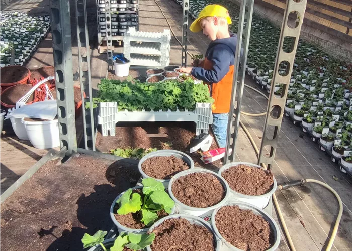 Ausbildung  Ausbildung