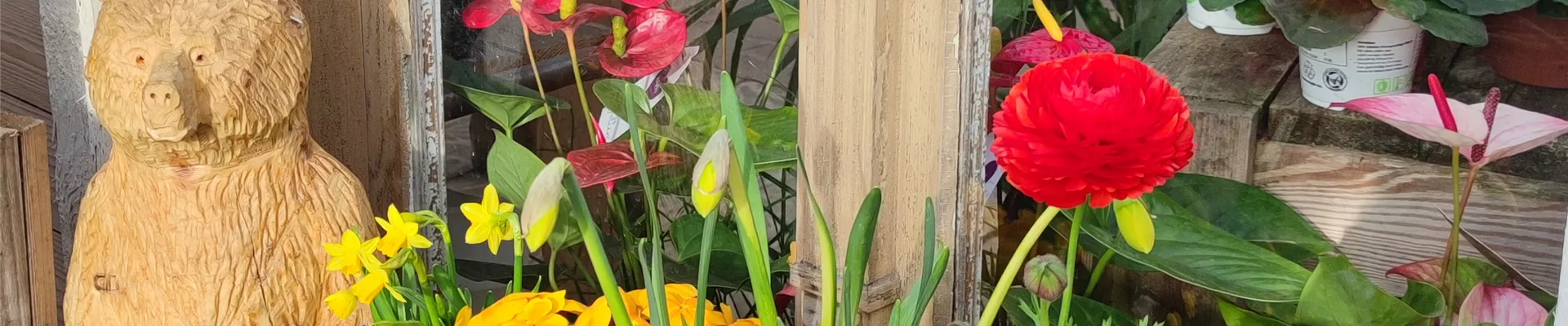 IMG_20220401_172803 IMG_20220401_172803