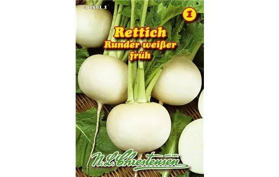 Rettich Runder weißer Rettich Runder weißer