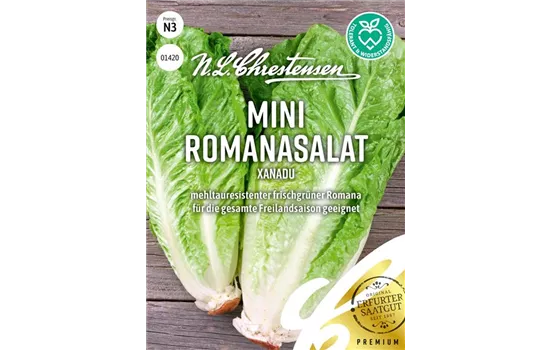 Romanasalat Xanadu Romanasalat Xanadu