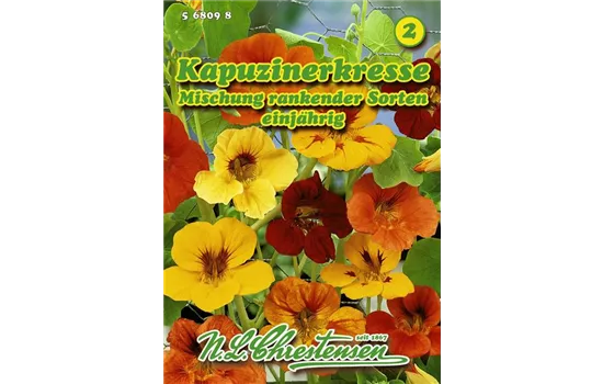 Tropaeolum Mischung nicht rankend