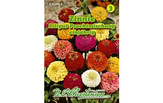 Zinnia Liliput Mischung