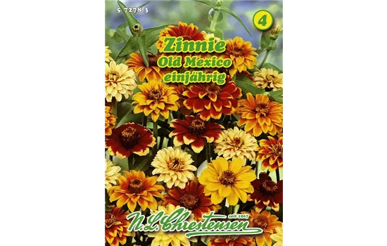 Zinnia, Old Mexico braunrot