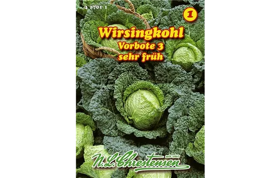 Wirsingkohl Vorbote Wirsingkohl Vorbote