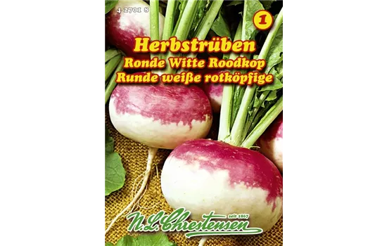 Herbstrüben Ronde Witte Roodkop Herbstrüben Ronde Witte Roodkop
