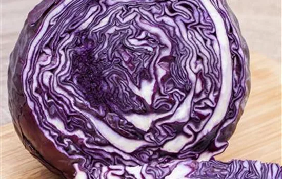 Rotkohl Rotkohl