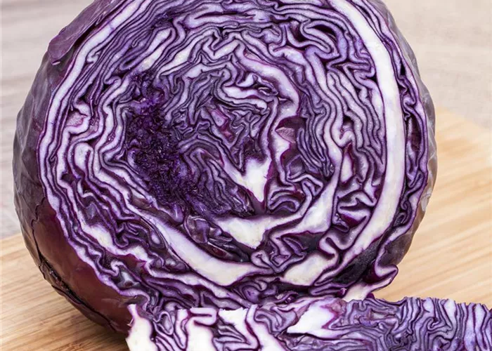 Rotkohl