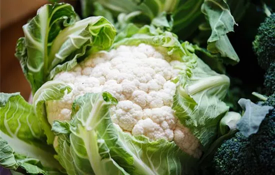 Blumenkohl, weiß