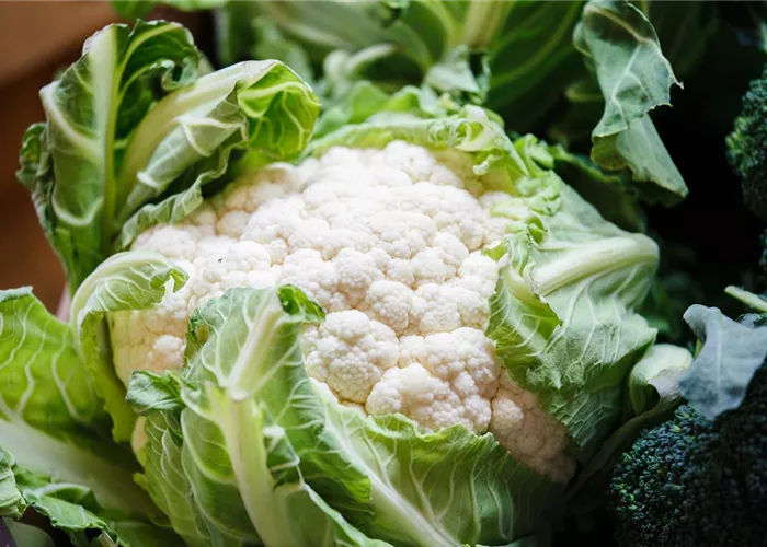 Blumenkohl, weiß Blumenkohl, weiß