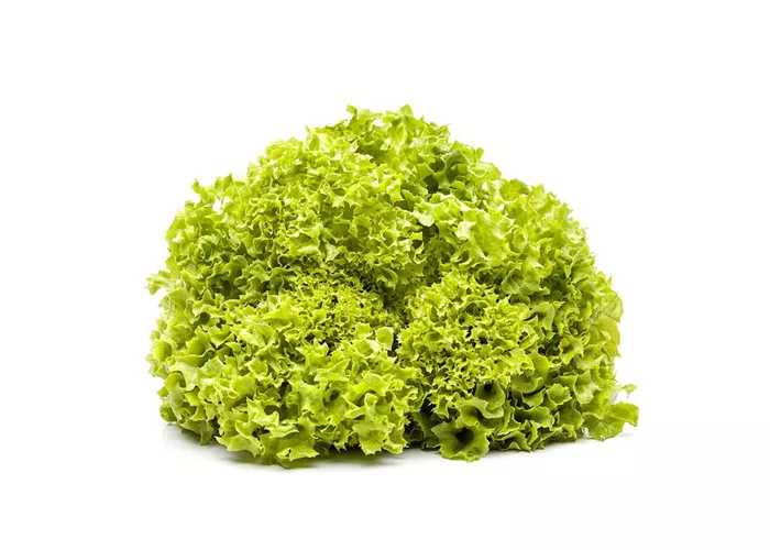 Lollo Bionda Lollo Bionda