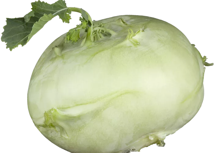 Kohlrabi Superschmelz Kohlrabi Superschmelz
