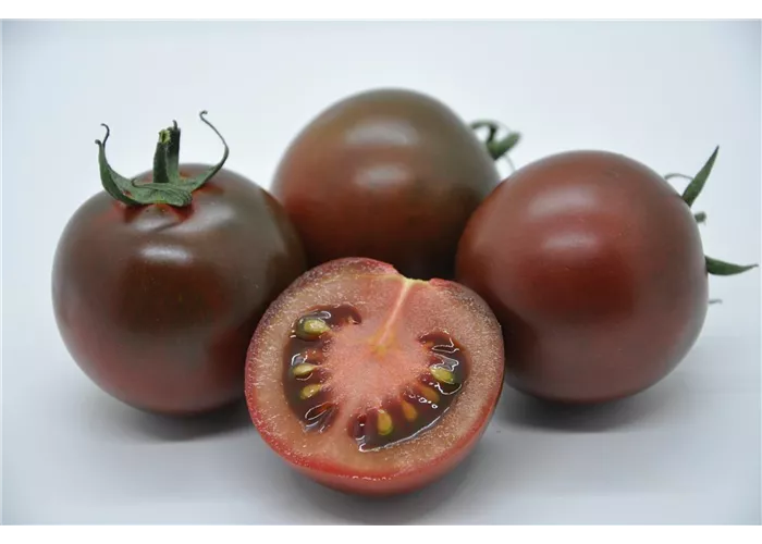 Anna Armenio Anna Armenio