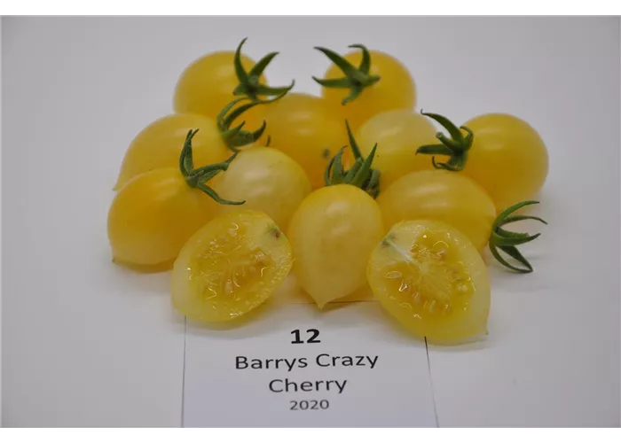 Barrys Crazy Cherry Barrys Crazy Cherry