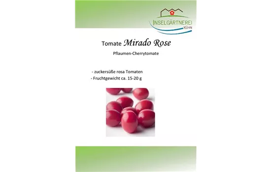 Mirado Rose Mirado Rose