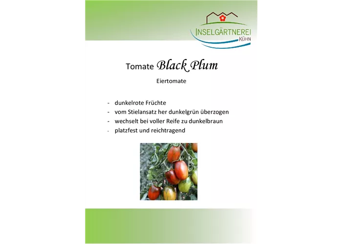 Black Plum Black Plum