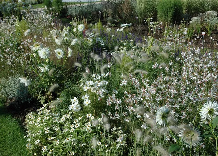 Ganz in Weiß – elegante Gartengestaltung mit Stil