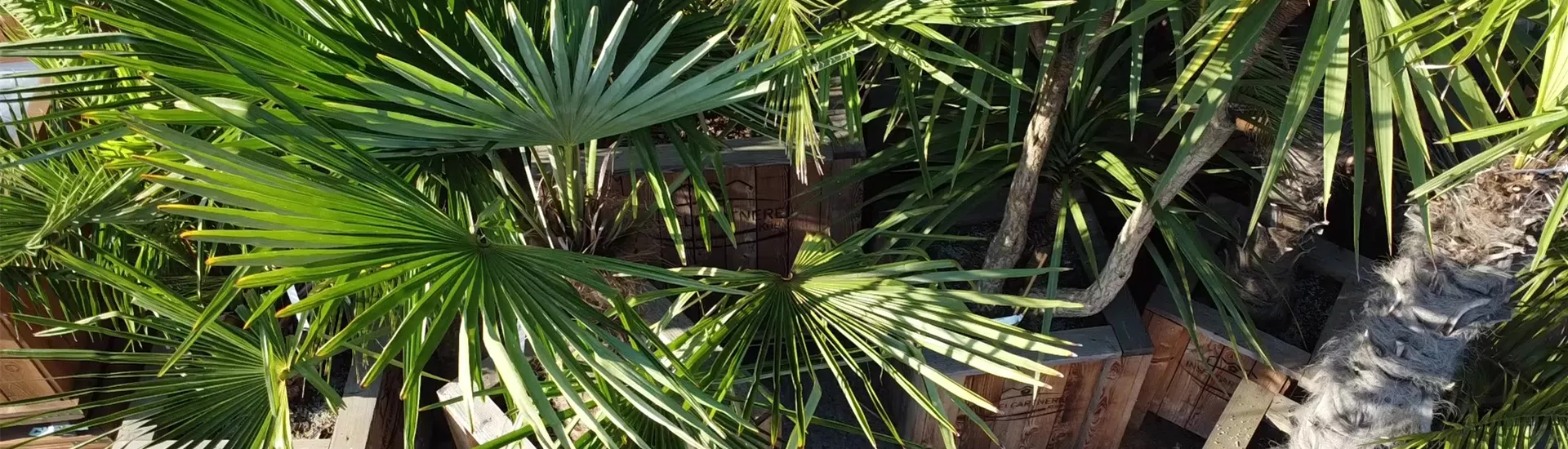 Flyout - frame at 0m0s Flyout - frame at 0m0s