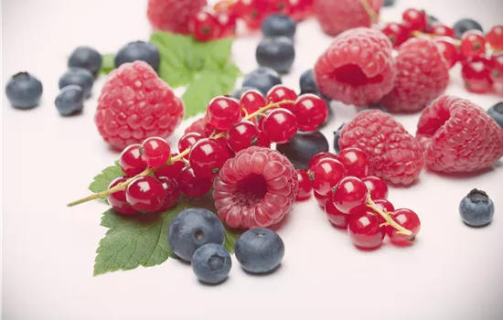 Beerenobst Beerenobst
