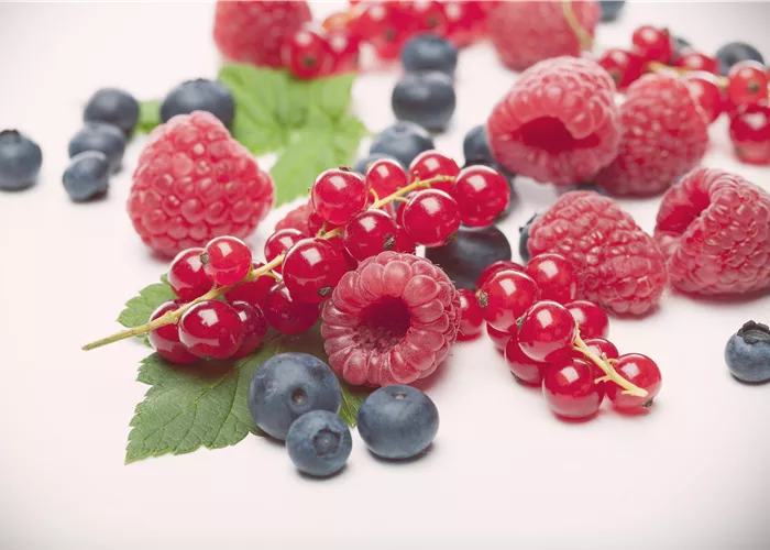 Beerenobst Beerenobst
