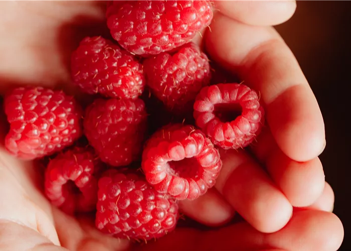 Himbeere 'Heritage' Himbeere 'Heritage'