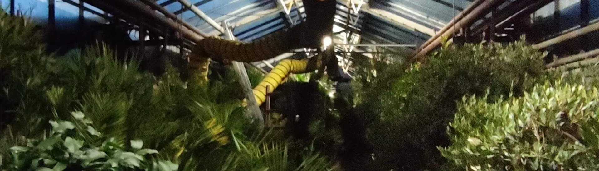 Überwinterung-0-0-1872-4160 Überwinterung-0-0-1872-4160