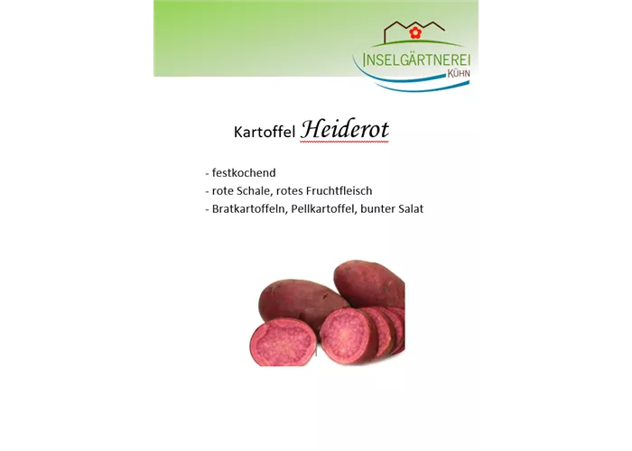 Kartoffeln Heiderot festkochend rot 1 kg Kartoffeln Heiderot festkochend rot 1 kg