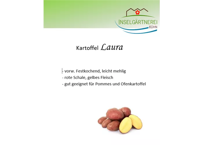 Kartoffeln Laura rotschalig festkochend 1 kg