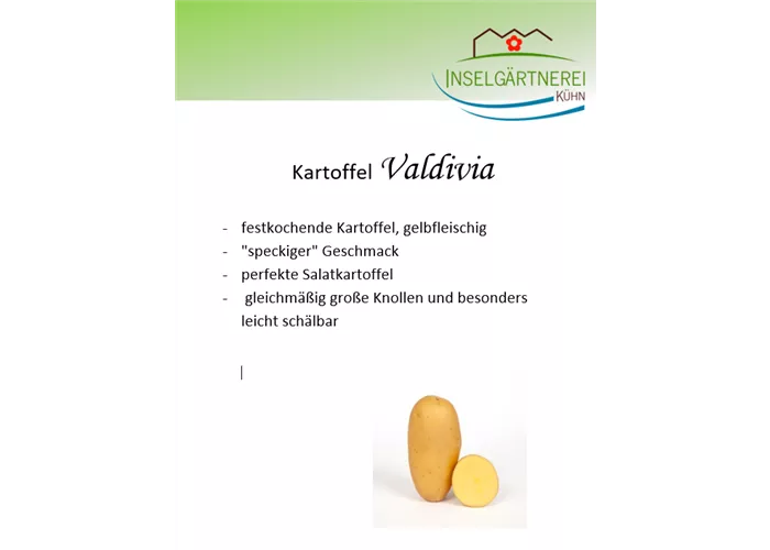 Kartoffel Valdivia 5 kg Kartoffel Valdivia 5 kg