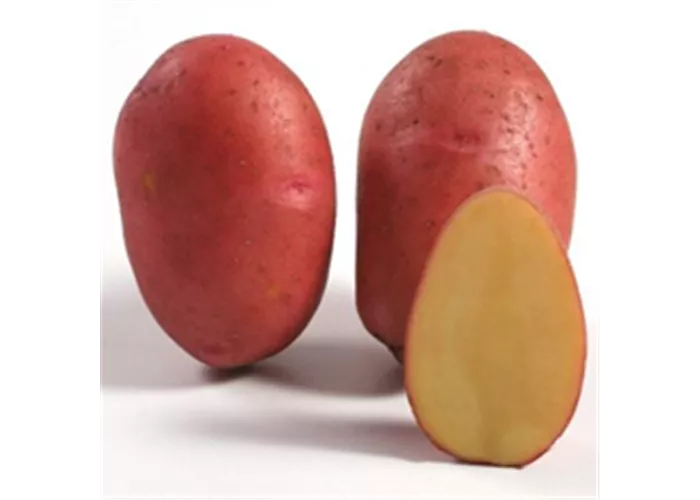 Kartoffeln Rosara festkochend 1 kg