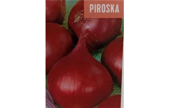 STECKZWIEBEL PIROSKA  STECKZWIEBEL PIROSKA